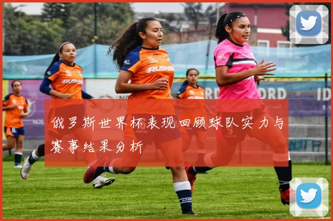 俄罗斯世界杯表现回顾球队实力与赛事结果分析