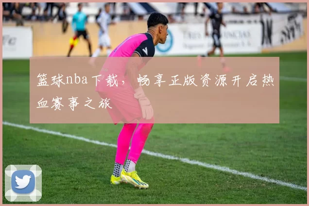 篮球nba下载，畅享正版资源开启热血赛事之旅