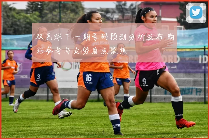 双色球下一期号码预测分析发布 购彩参考与走势看点聚焦