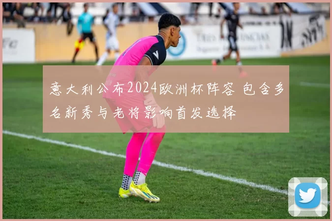 意大利公布2024欧洲杯阵容 包含多名新秀与老将影响首发选择